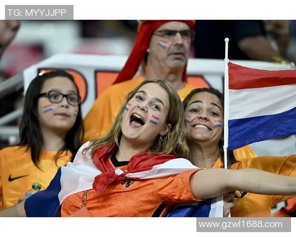 荷兰与巴西点球争议引发热议球迷与专家各执己见