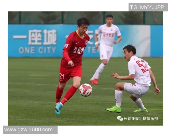 2016年1月31日辽宁队对阵深圳队精彩比赛录像回放及精彩瞬间分析