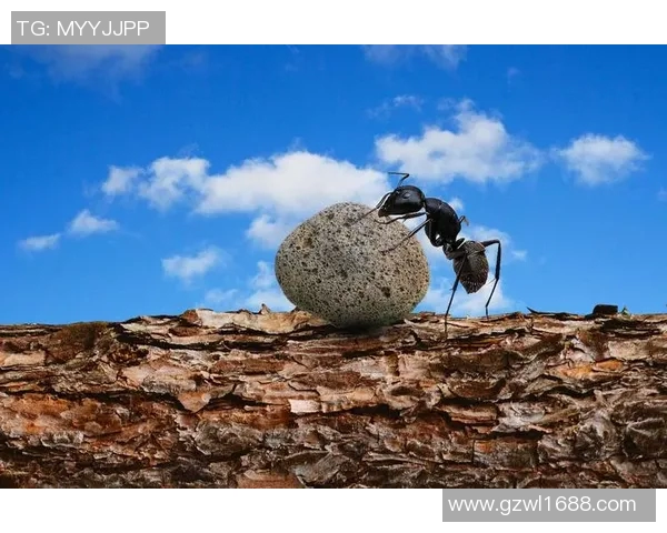 崔永熙：在时代浪潮中追寻梦想与坚持的力量