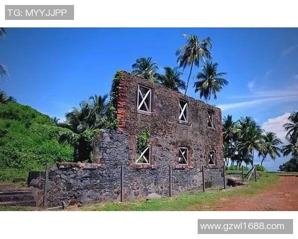 法属圭亚那与圭亚那的历史文化差异与发展现状探讨