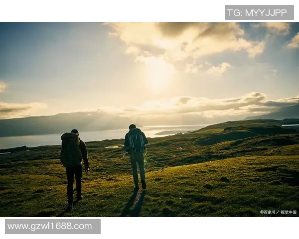 鸟栖沙岩与清风拂面之间的自然和谐与人文交融探讨