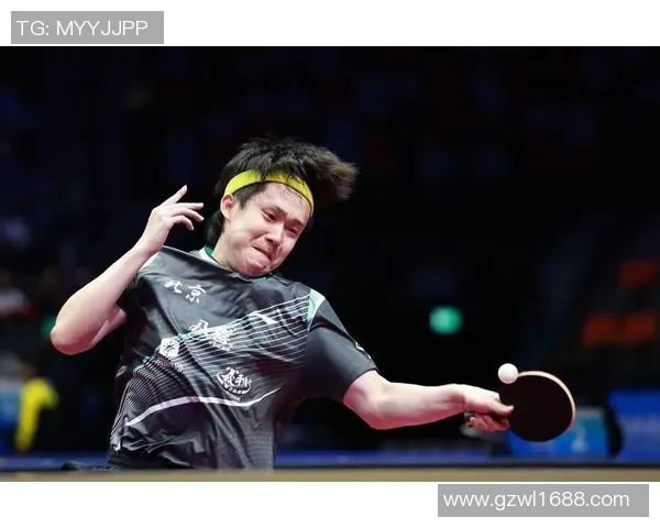 乒乓球的梦想与坚持成都乒乓球队成长历程的真实记录