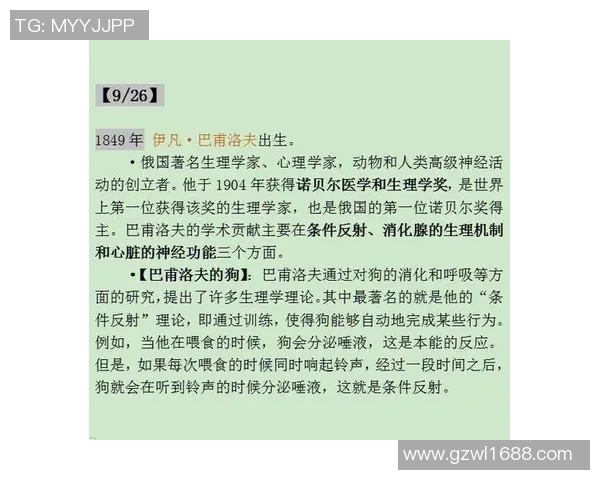 亚当斯的传奇人生与影响力探讨:从成就到遗产的深度剖析 亚当斯的传奇人生与影响力探讨:从成就到遗产的深度剖析
