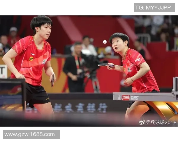 成都乒乓球队的阵地战揭秘:深度解析乒乓球技战术与团队协作