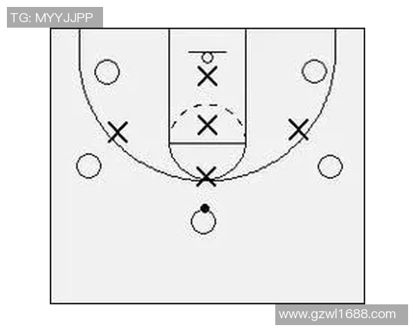 武汉排球队区域防守体系解析与战术运用探讨 武汉排球队区域防守体系解析与战术运用探讨