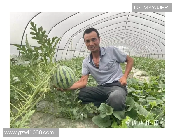 汉堡与比勒菲尔德比赛前瞻分析及胜负预测详解 汉堡与比勒菲尔德比赛前瞻分析及胜负预测详解