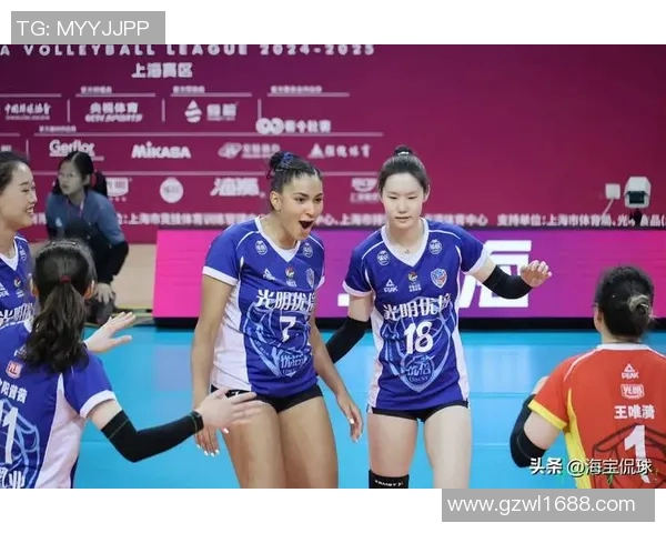 上海排球队灵活性排名第一最新排球灵活性TOP10榜单揭晓