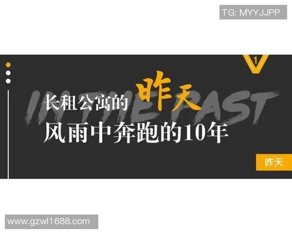 独家解析WE战队实力对比与未来发展潜力分析