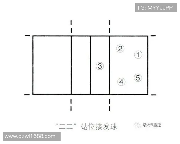 上海排球队进攻战术解析与球队表现的深度剖析